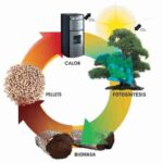 184775-la-revolucion-de-la-energia-biomasica-y-su-potencial-en-la-sostenibilidad-energetica