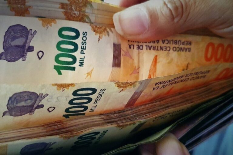 Milei eliminó el Programa de Promoción del Microcrédito para el Desarrollo de la Economía Social