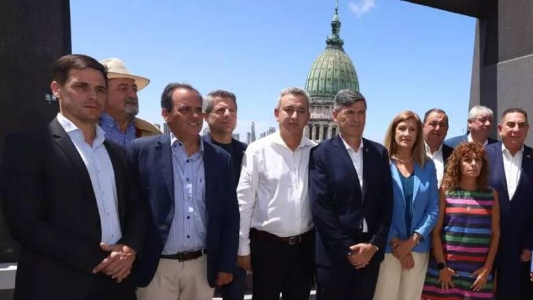 Subsidios al sistema de colectivos del interior: el Congreso abre el juego