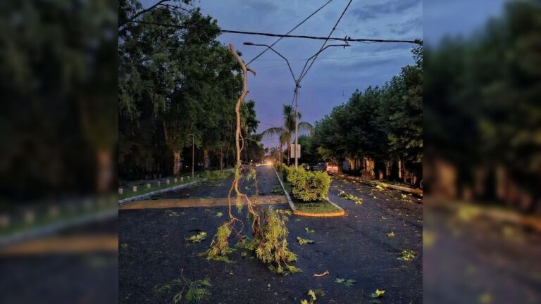 Tormenta al sur de Rosario: el temporal castigó a Alvear en vísperas de Nochebuena