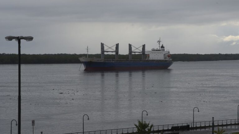 El tiempo en Rosario: viernes ventoso, con chances de lluvias y alerta amarillo por altas temperaturas