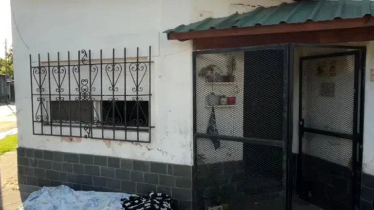 Tragedia en zona oeste: un incendio destruyó el hogar de una familia rescatista y murieron 14 mascotas