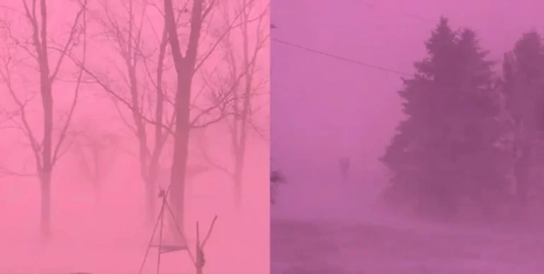 Tormenta invernal en Estados Unidos: el cielo se tiñó de rosa