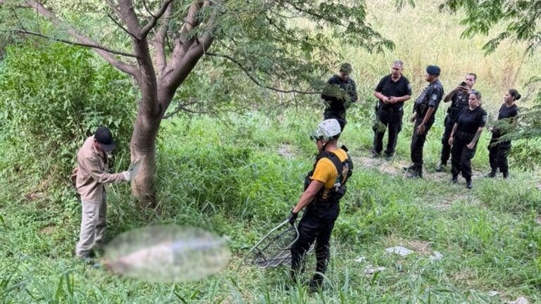 Parte médico: cómo sigue el estado de salud de la mujer hallada inconsciente en la barranca del río