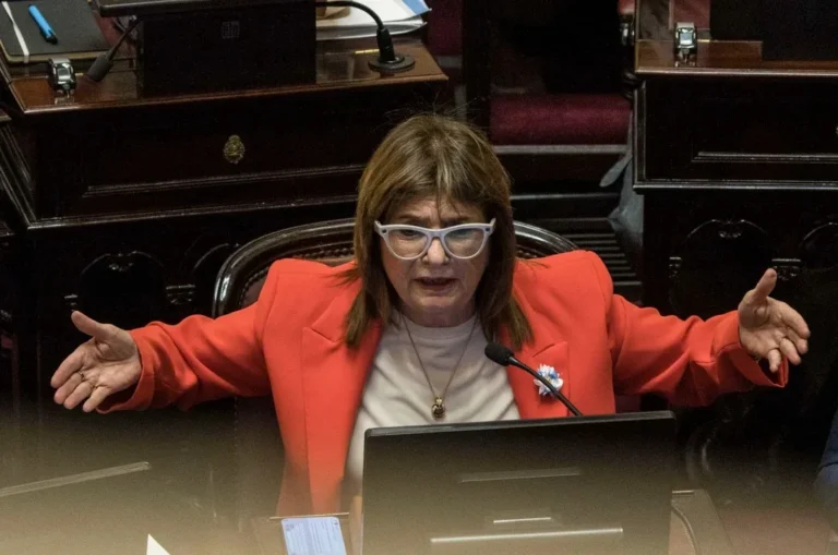 Con la tuya: Cuánto cuestan los anteojos inteligentes que usó Patricia Bullrich en el Senado?