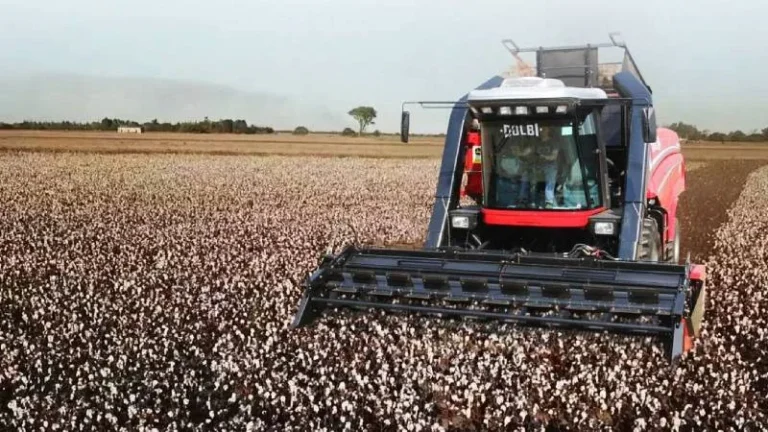 Una agrometalúrgica con más de 60 años de historia da la pelea en el norte provincial