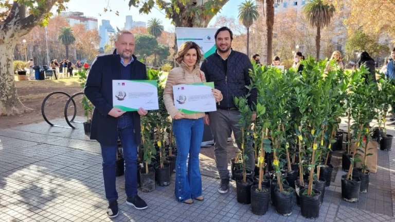 Residuos fuera de control: el trabajo de la UBA y la UNR que expone un problema ambiental crítico