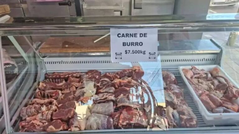 Cortes de carne roja en una parrilla, representando las nuevas alternativas como la de burro y guanaco.