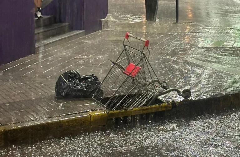 Calle de Rosario con ramas caídas y charcos tras las lluvias del viernes