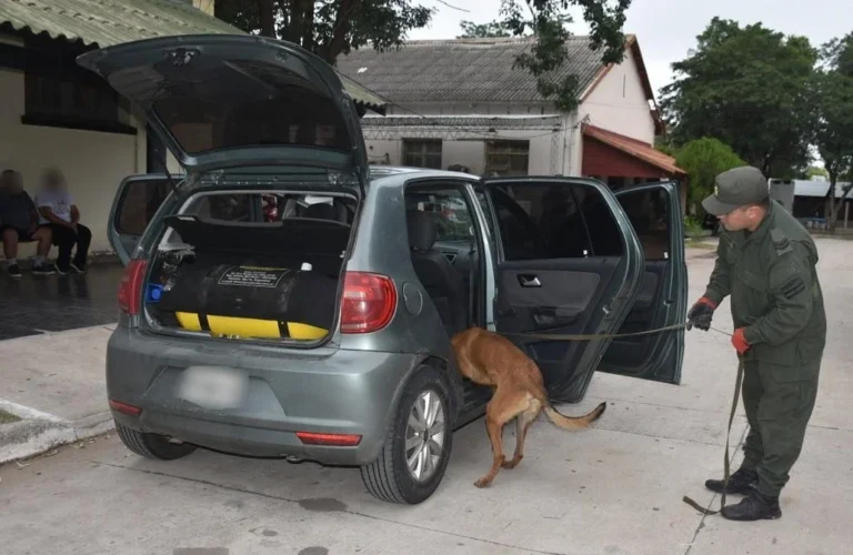 Efectivos de Gendarmería Nacional durante un operativo de control en ruta