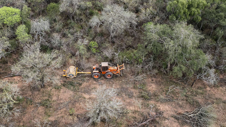 Campo anegado en el norte de Santa Fe tras las lluvias intensas