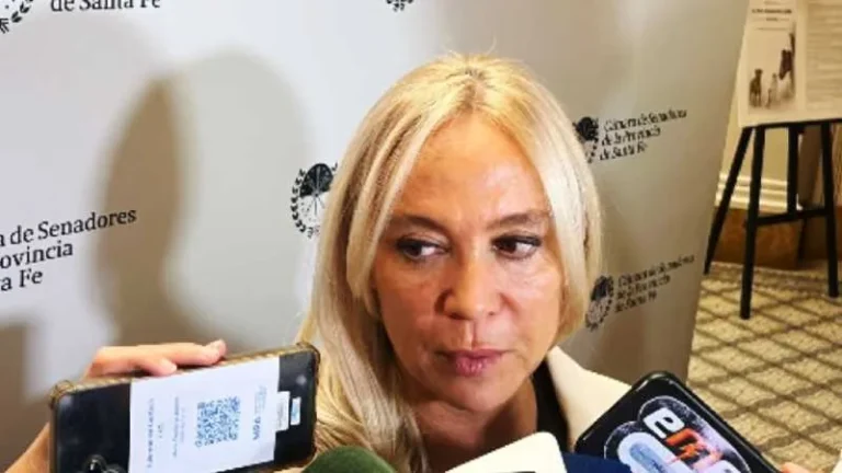 María Cecilia Vranicich, Fiscal General de Santa Fe, durante la presentación de su informe en la Legislatura.
