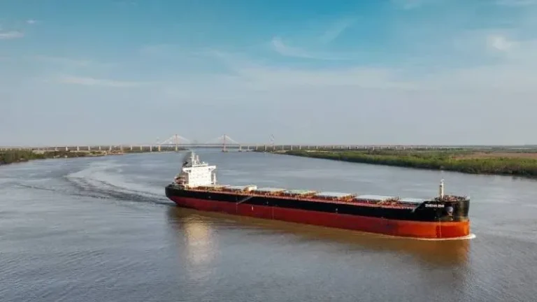 Río Paraná desde la costa de Santa Fe