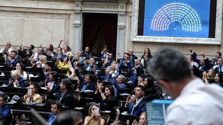 Sesión de la Cámara de Diputados de la Nación durante la votación de la reforma de subsidios al gas por Zona Fría