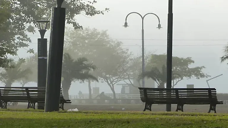 Neblina matutina en Rosario