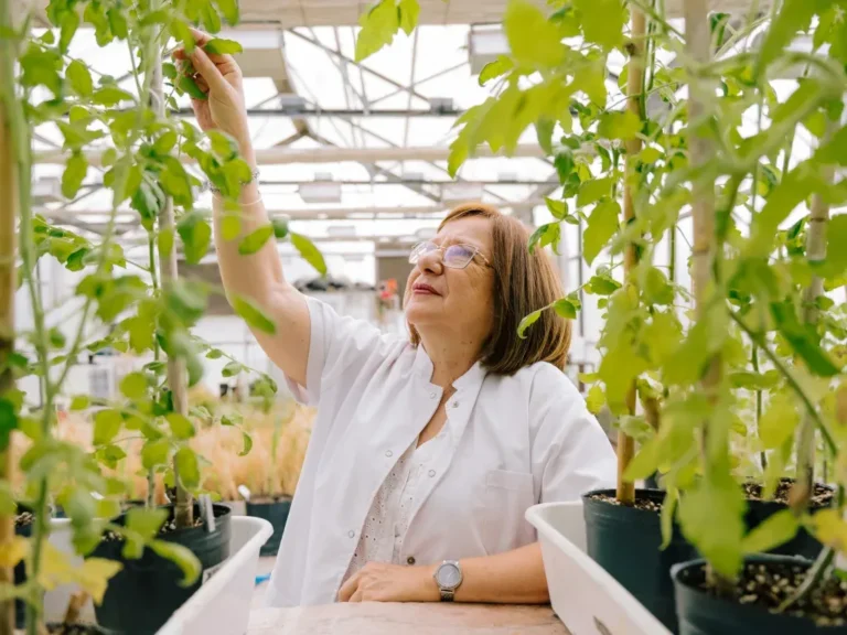 Raquel Lía Chan, investigadora del CONICET y profesora de la UNL, galardonada con el premio L'Oréal-UNESCO