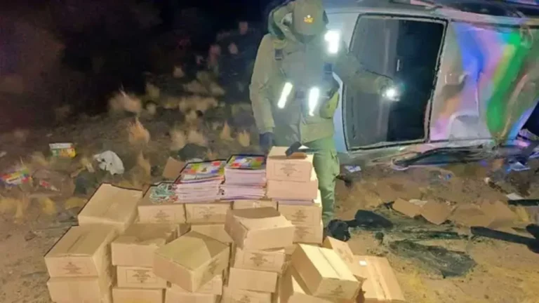 Vehículo volcado en la banquina de la Ruta Nacional 7, en Mendoza, tras un operativo de Gendarmería Nacional.