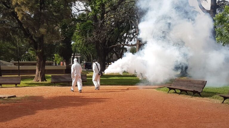 Mosquitos en un parque de Santa Fe, especies culex y charquero