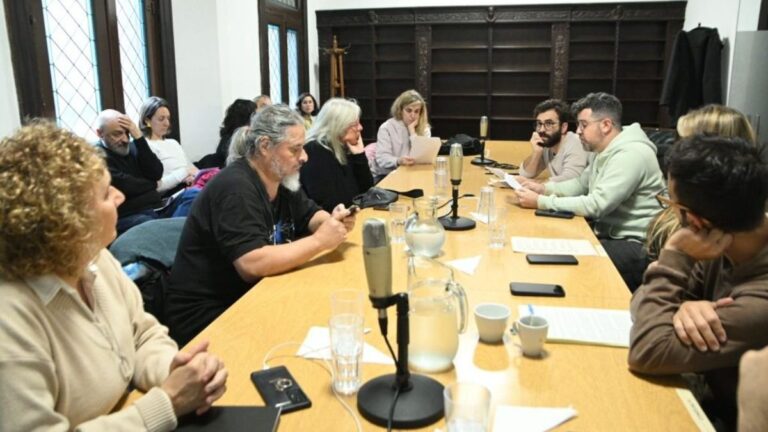 Concejo Municipal de Rosario durante la reunión de la comisión de Cultura y Educación