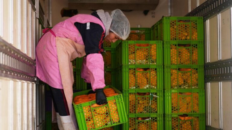 Camiones con alimentos en mercados de La Paz tras protestas en Bolivia
