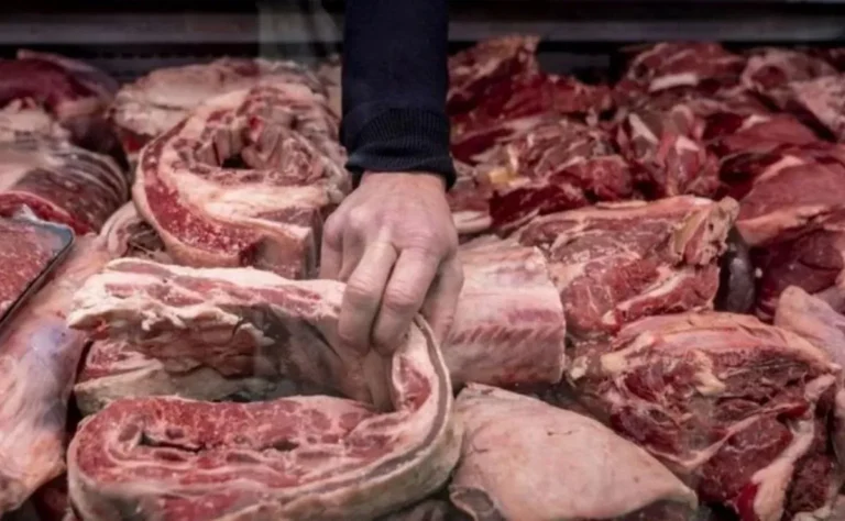 Cortes de carne vacuna en una carnicería de Argentina