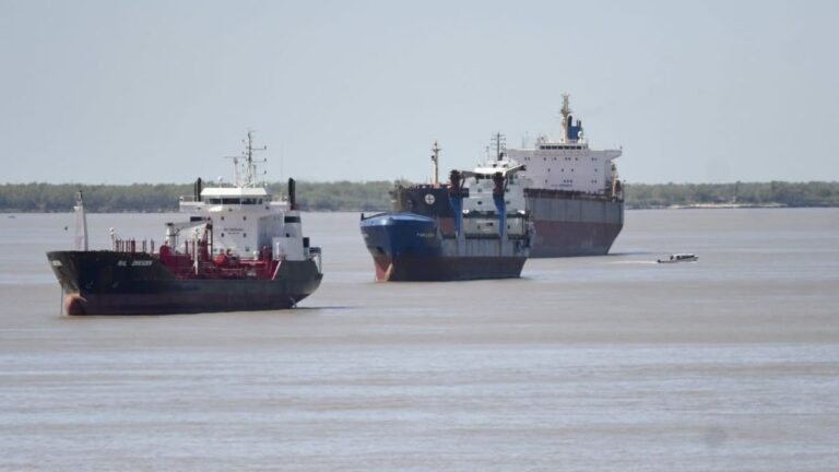 Puerto del Gran Rosario con buques de carga y granos