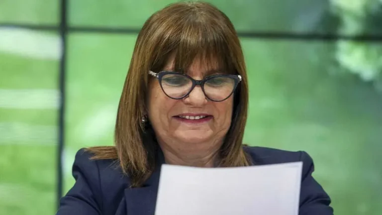 Patricia Bullrich en el Senado Nacional