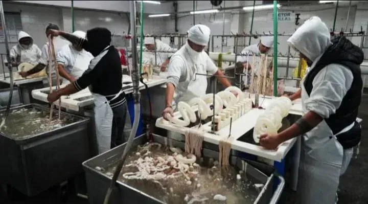 Trabajadores del frigorífico Euro en Villa Gobernador Gálvez durante la reactivación de la planta